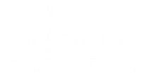 SOLIDS Expo Poland logosu