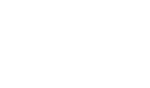 FAMEX logosu
