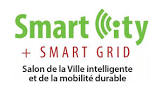 Smart City + Smart Grid logosu