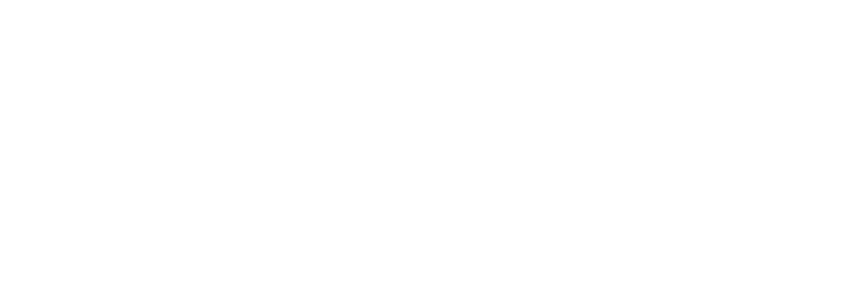 CNS Travel Solutions